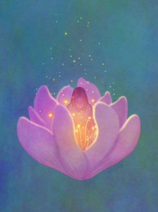 Accompagnement Renaissance